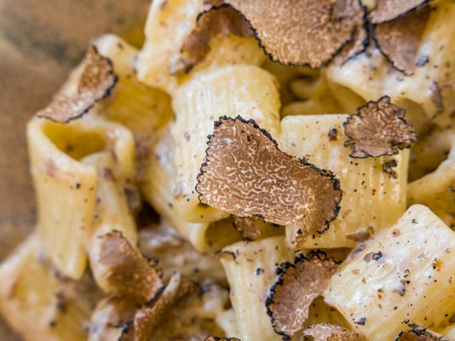Brasserie La Mule du Pape Rigatoni à la truffe d'été